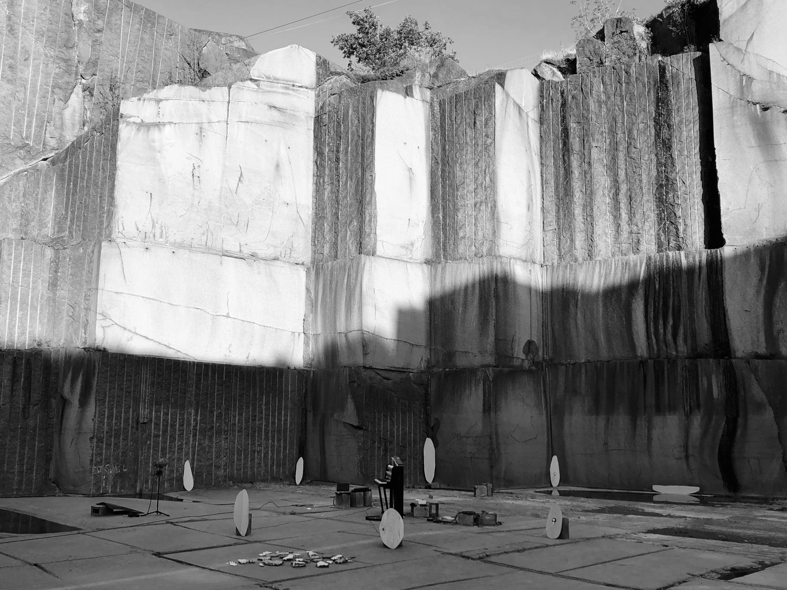 forest installation pciture #3